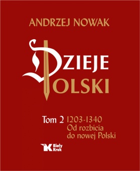 Dzieje Polski. Tom 2. Od rozbicia do nowej Polski