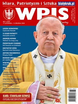 WPIS 11/2020 - okładka