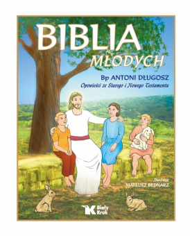 Biblia młodych. Opowieści ze Starego i Nowego Testamentu - okładka