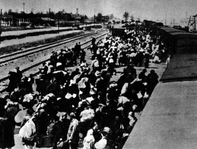 Selekcja nowo przybyłych więźniów na rampie wyładowczej KL Auschwitz. Wiosna 1944 r. fot. z książki 