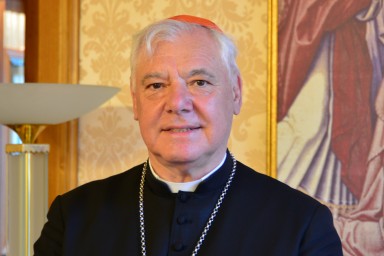 Lawendowe herezje w Watykanie. Kard. Müller ostrzega. Co zrobi papież?