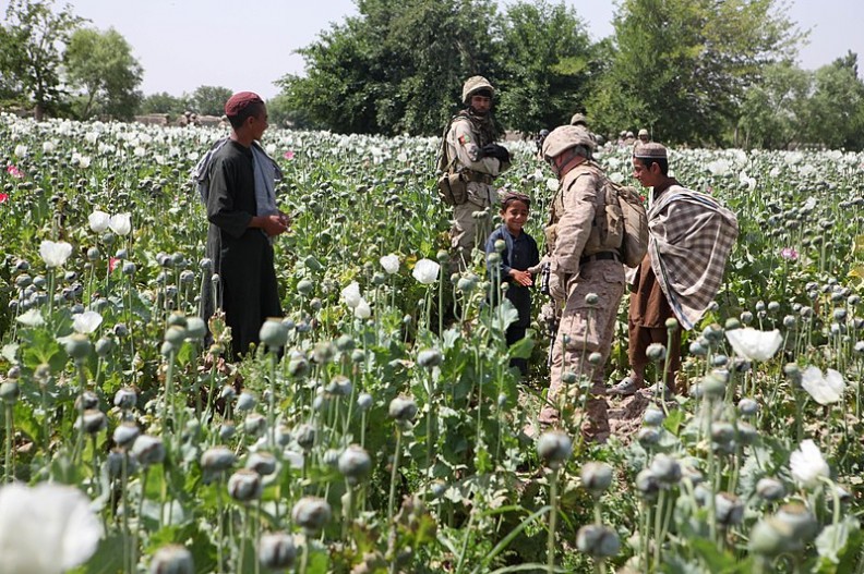 Powszechnie spotykanym na Bliskim Wschodzie narkotykiem jest opium.   Fot.:ISAF Headquarters Public Affairs Office/110429-M-PE262-014/Wikimedia Commons