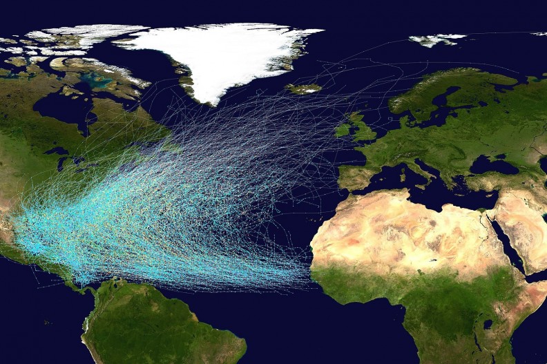 Trasy północnoatlantyckich cyklonów tropikalnych w latach 1851–2019. Fot. Wikipedia