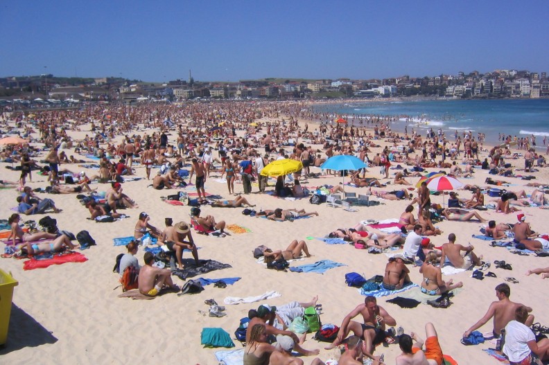 Jedna z plaż niedaleko australijskiego Sydney. Fot. Phil Whitehouse, CC BY 2.0, via Wikimedia Commons. 