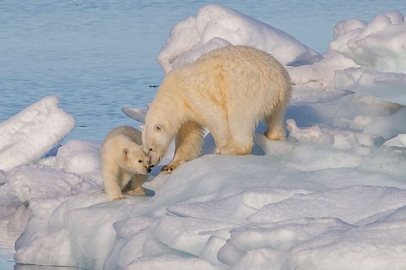 Wiele wskazuje na to, że problem globalnego ocieplenia nie jest tak poważny jak alarmują naukowcy. Może się również okazać, że zmiany klimatyczne nie mają żadnego związku z emisją dwutlenku węgla do atmosfery. Fot.: AWeith/ Wilimedia Commons