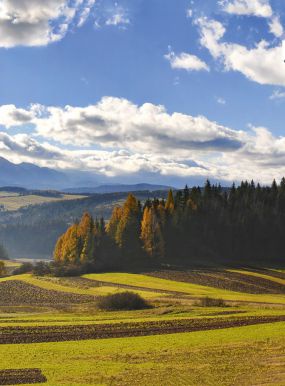 Polska. Panoramy