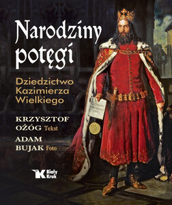 Z VI t. Dziejów Polski - Narodziny potęgi. Dziedzictwo Kazimierza Wielkiego 